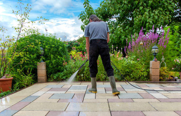 Professional Pressure Washing in Kingwood, WV